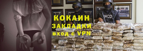 твердый Горняк