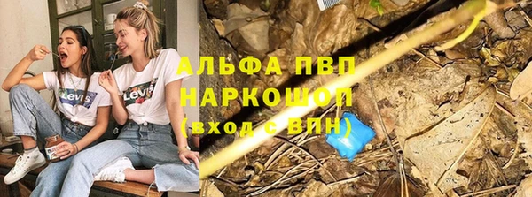 твердый Горняк