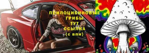 мет Горно-Алтайск