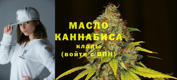 твердый Горняк