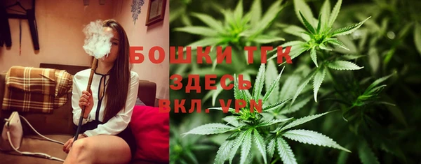 твердый Горняк