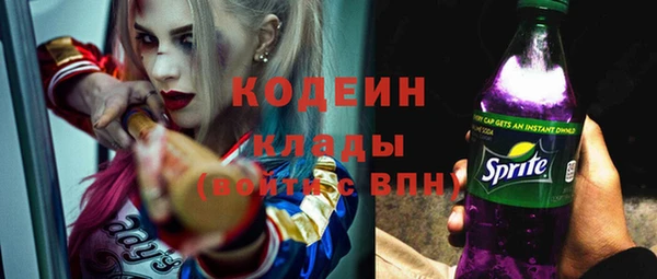 твердый Горняк